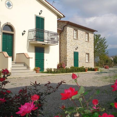 Le Casine Apartment Cortona Phòng bức ảnh